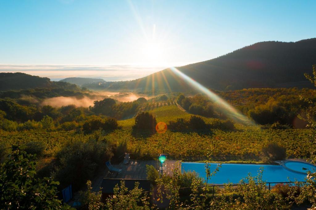 Agriturismo Il Serraglio Montepulciano Stazione Eksteriør billede